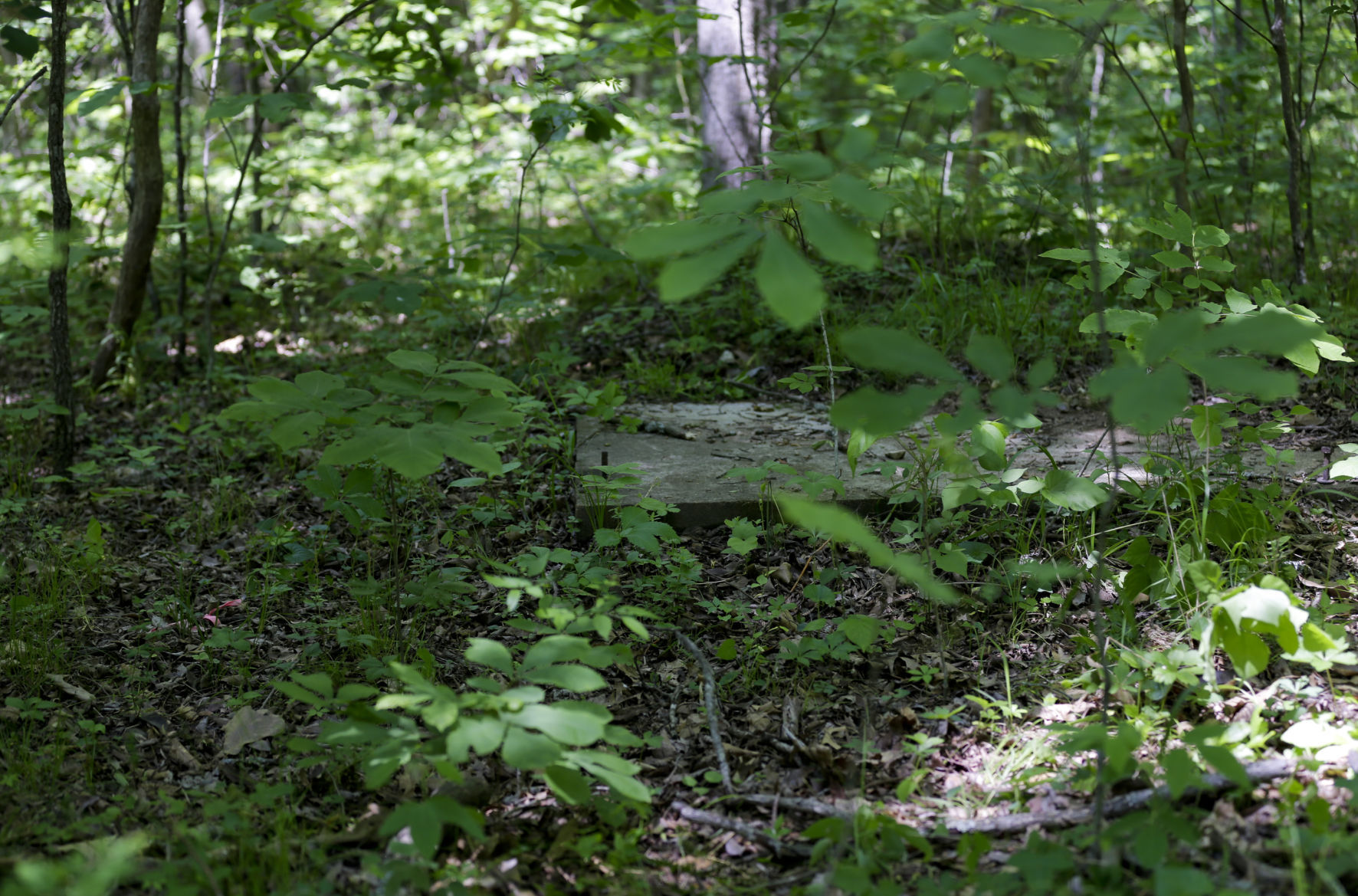 camp scott girl scout murder